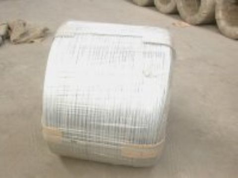 Black Annealed Wire 